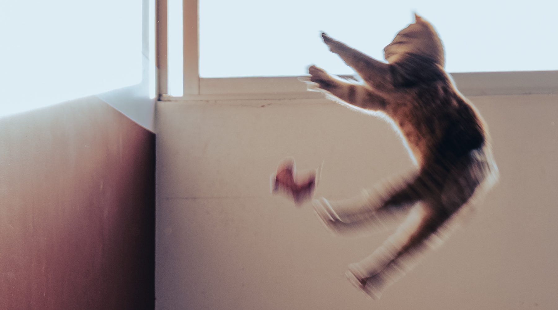 Voces del Té 02: Amor