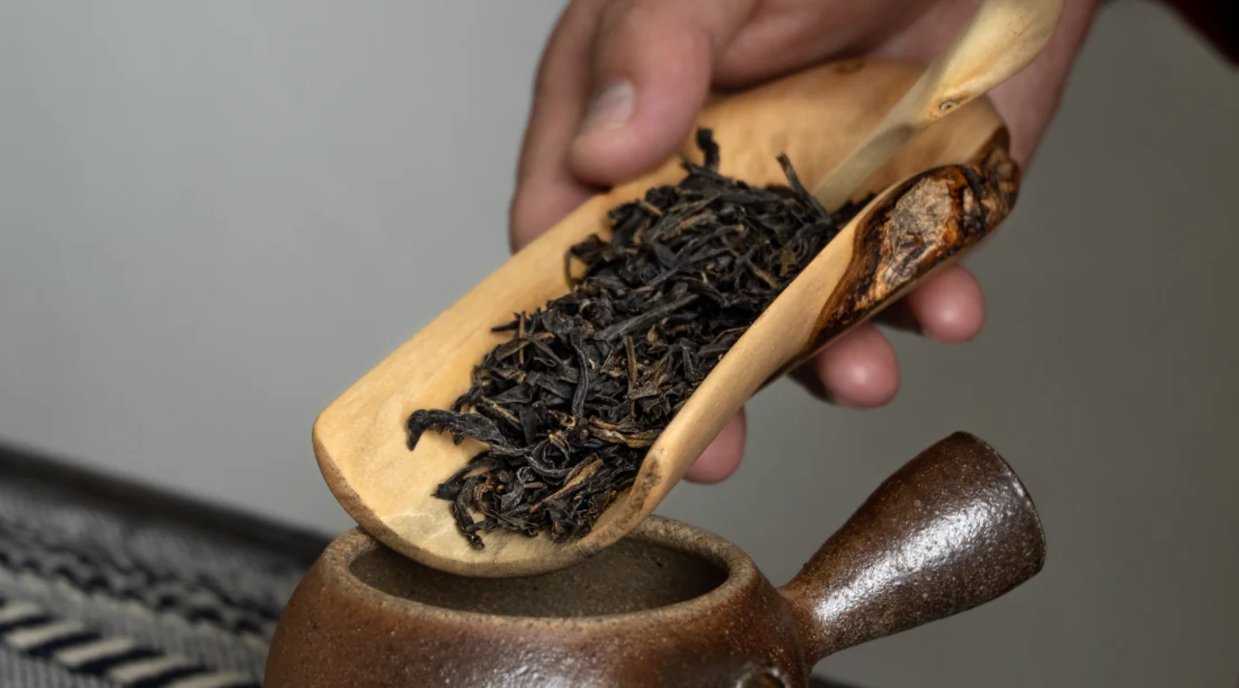 ¿Qué es el té? Pt.1