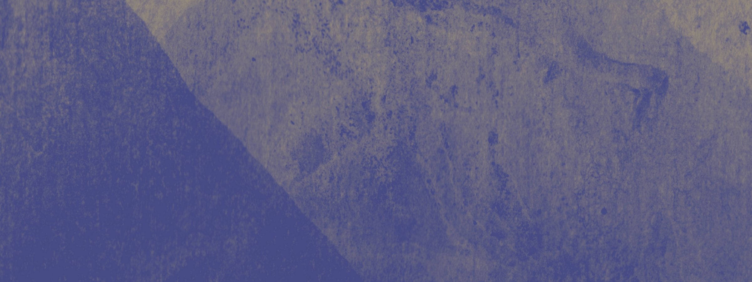 Nuestros tés Ankori