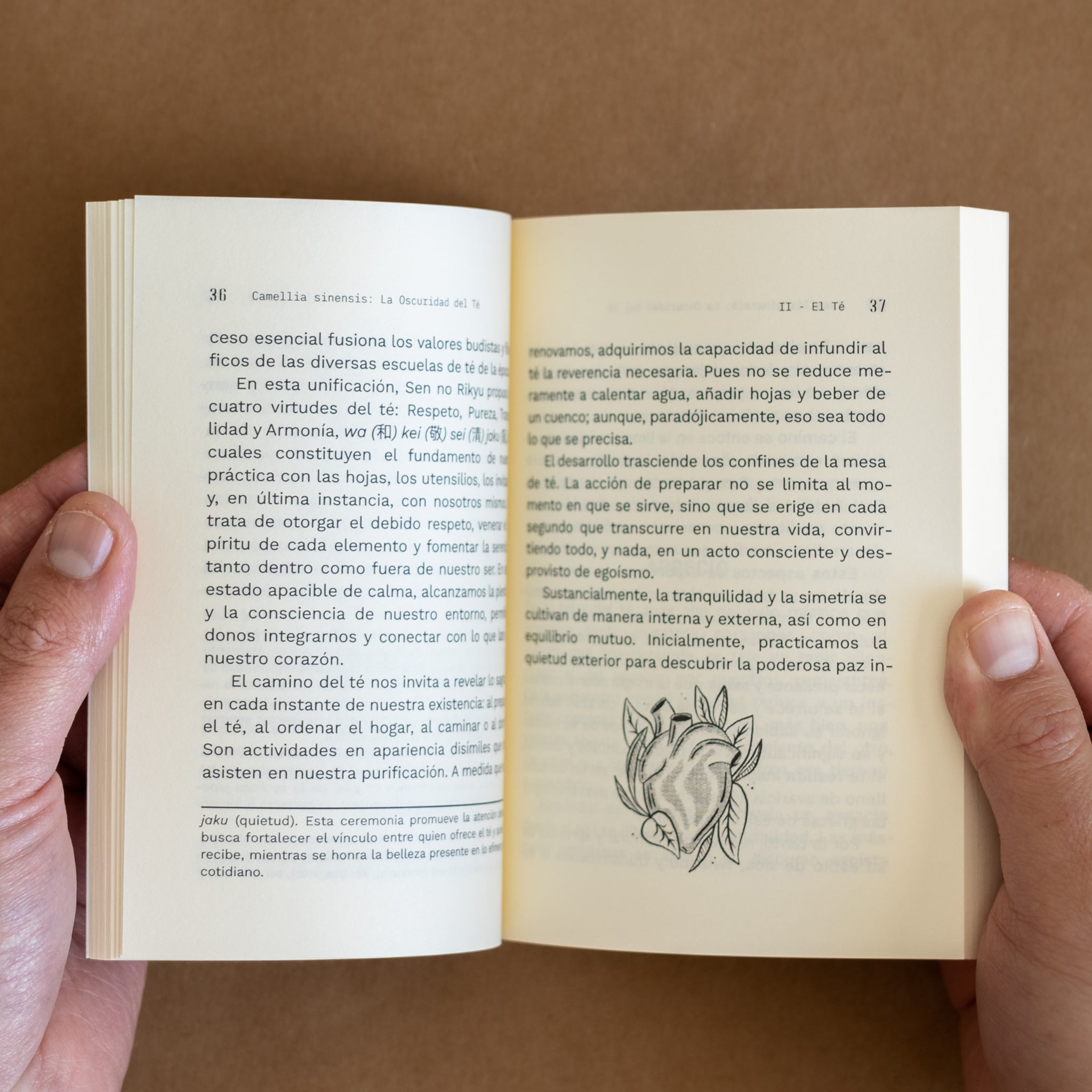 Ankori_Libro_Camellia Sinensis_La Oscuridad Del Té