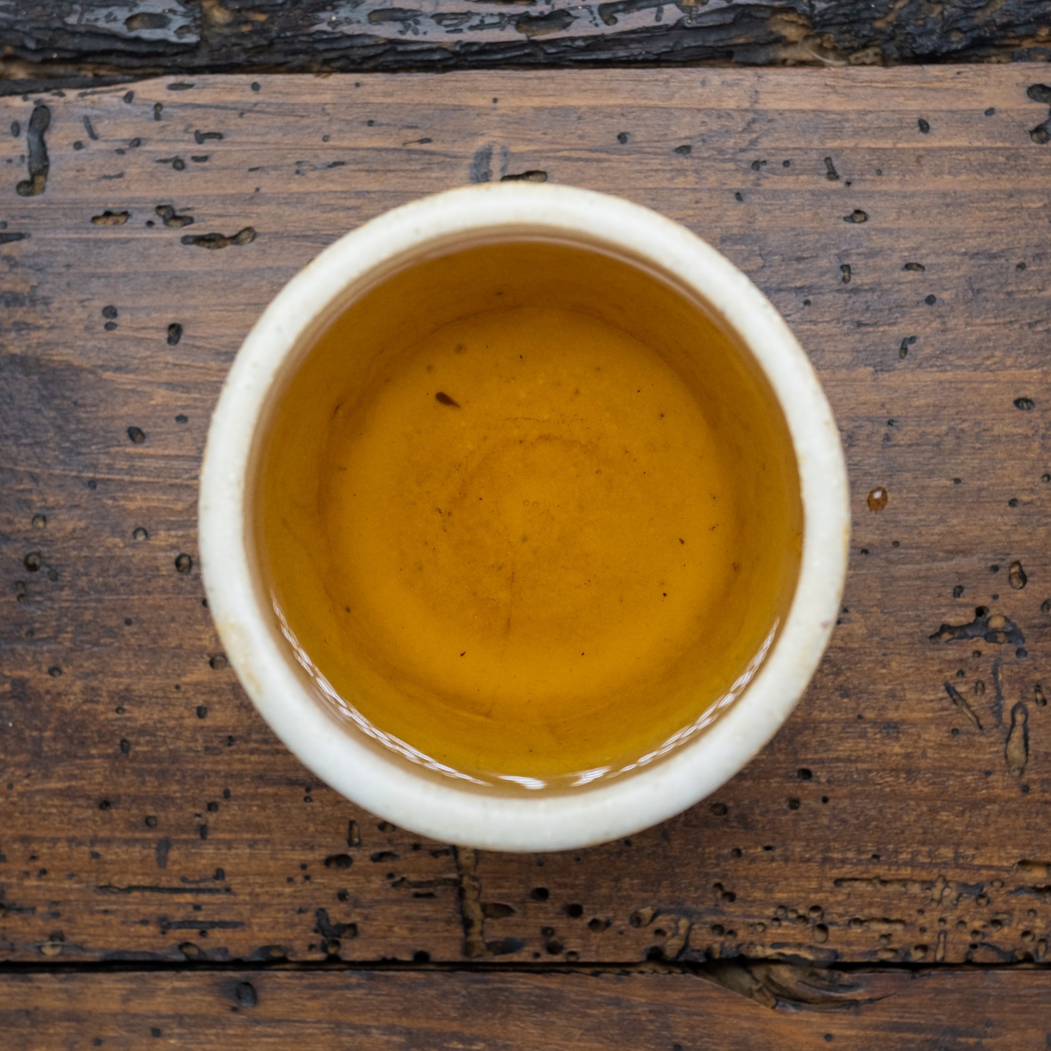 Té negro brotes