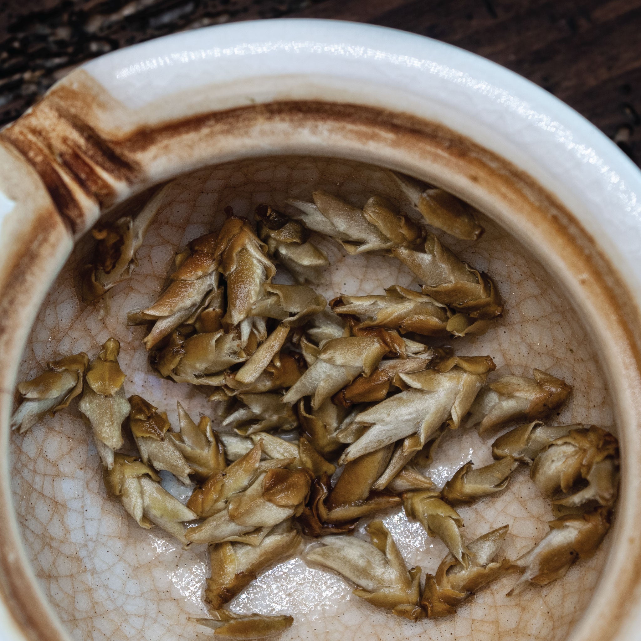 Brotes húmedas de té blanco White Dehongensis
