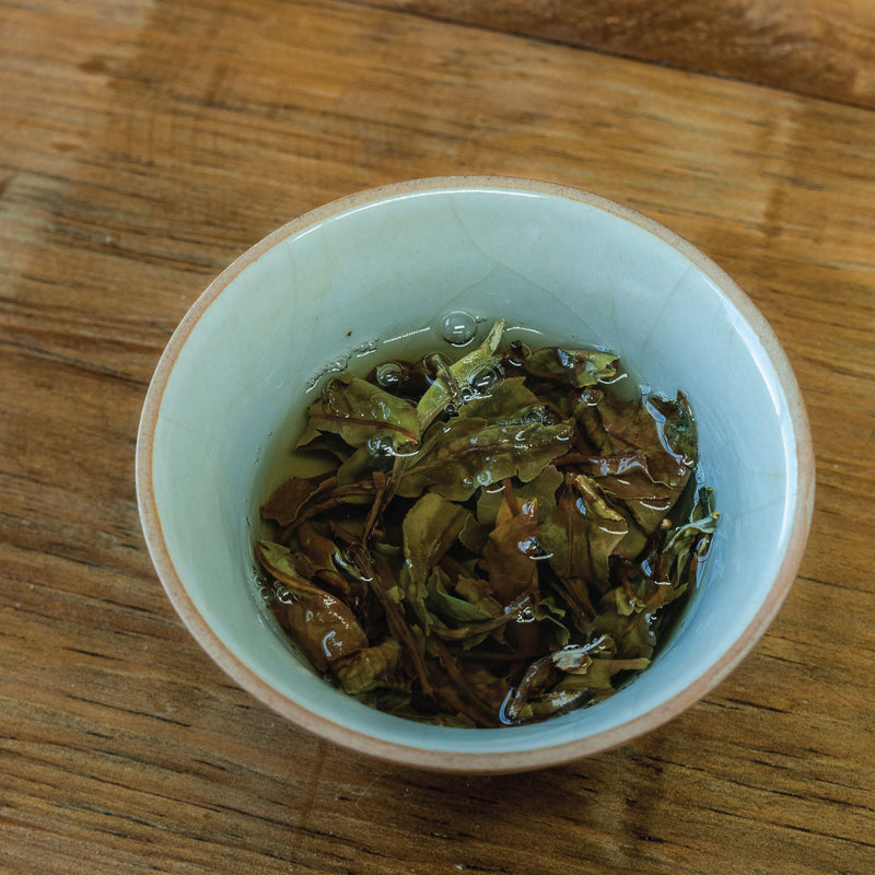 Hojas húmedas de té blanco Pai Mu Tan