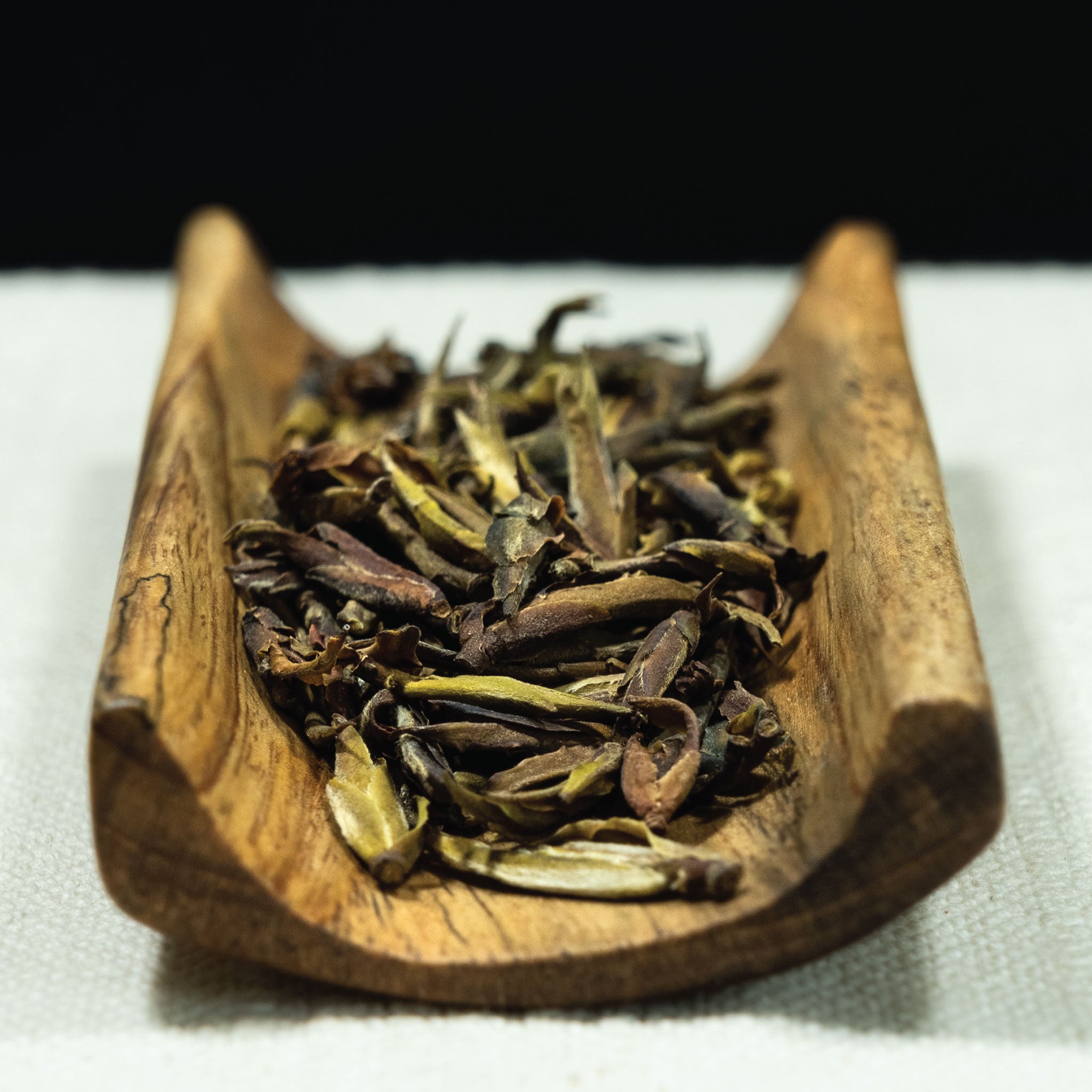 Brotes de té Dark Ye Sheng Puerh