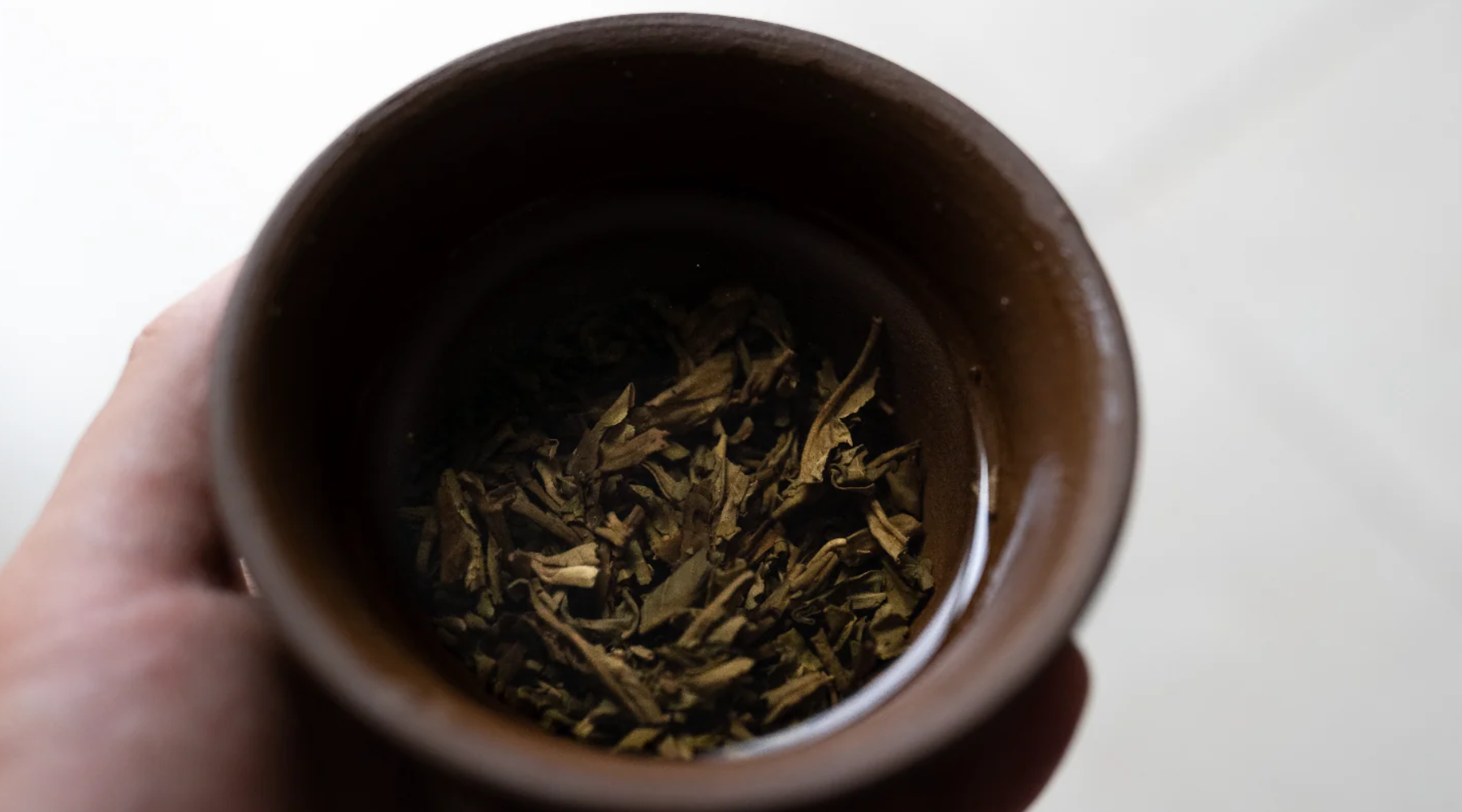 Lecciones en la Mesa de Té