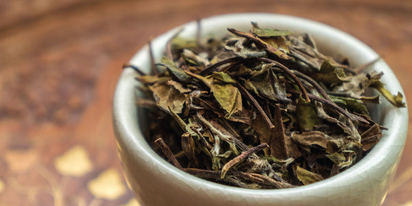 Cómo catar y degustar té.
