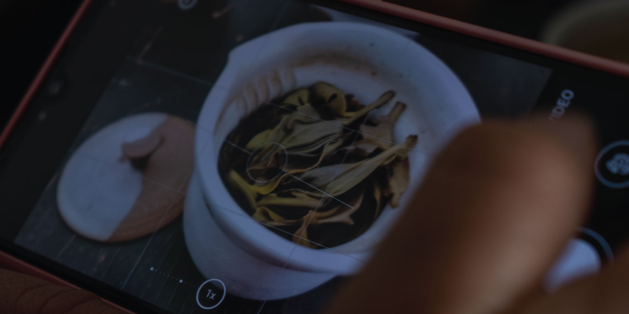 La Camellia Sinensis