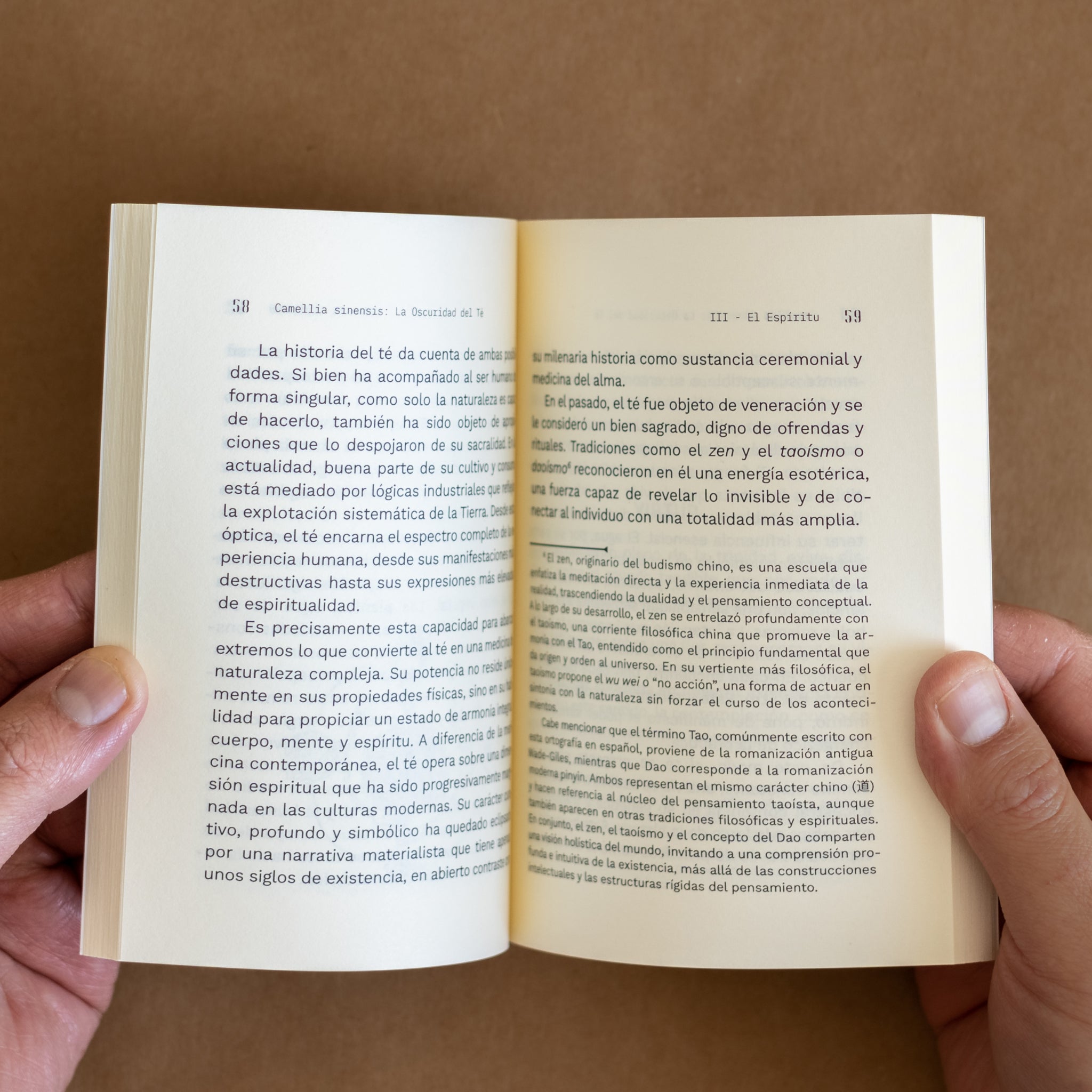 Ankori_Libro_Camellia Sinensis_La Oscuridad Del Té