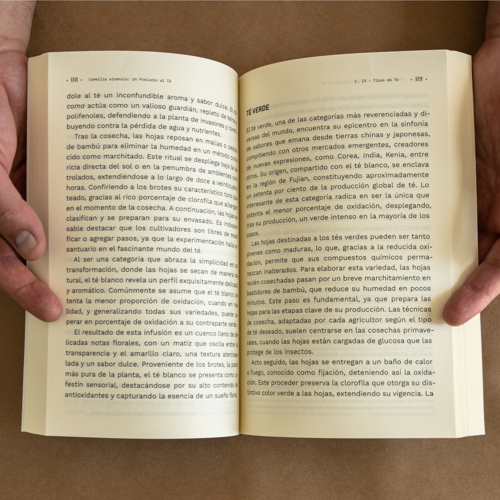 Libro de Ankori: Camellia Sinensis: Un Preludio al Té