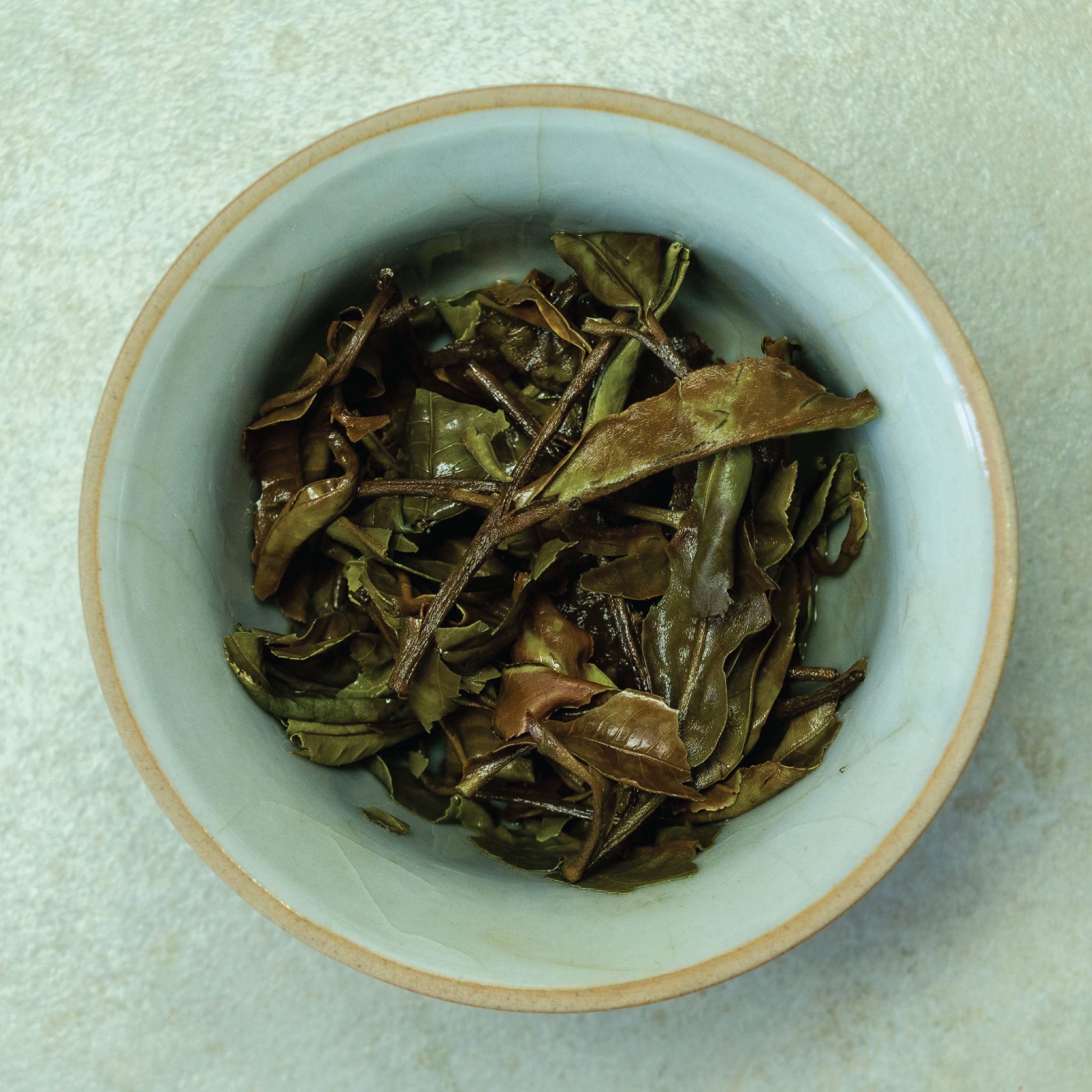 Hojas húmedas de té blanco Pai Mu Tan