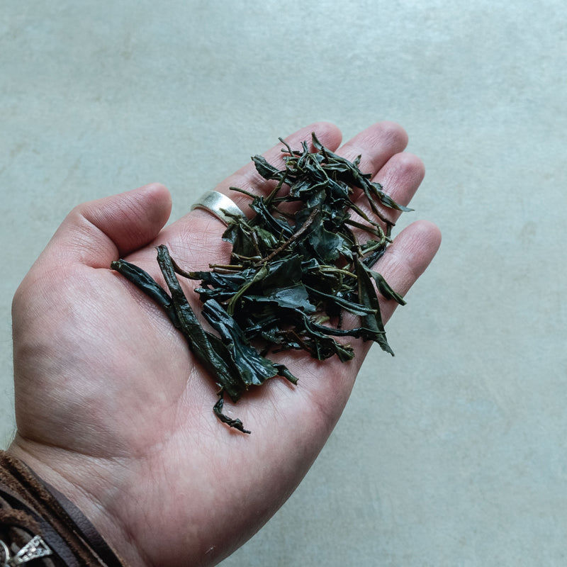 Hojas húmedas  de té verde Purple Love