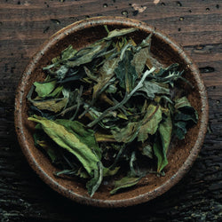 Hojas de té blanco Pai Mu Tan