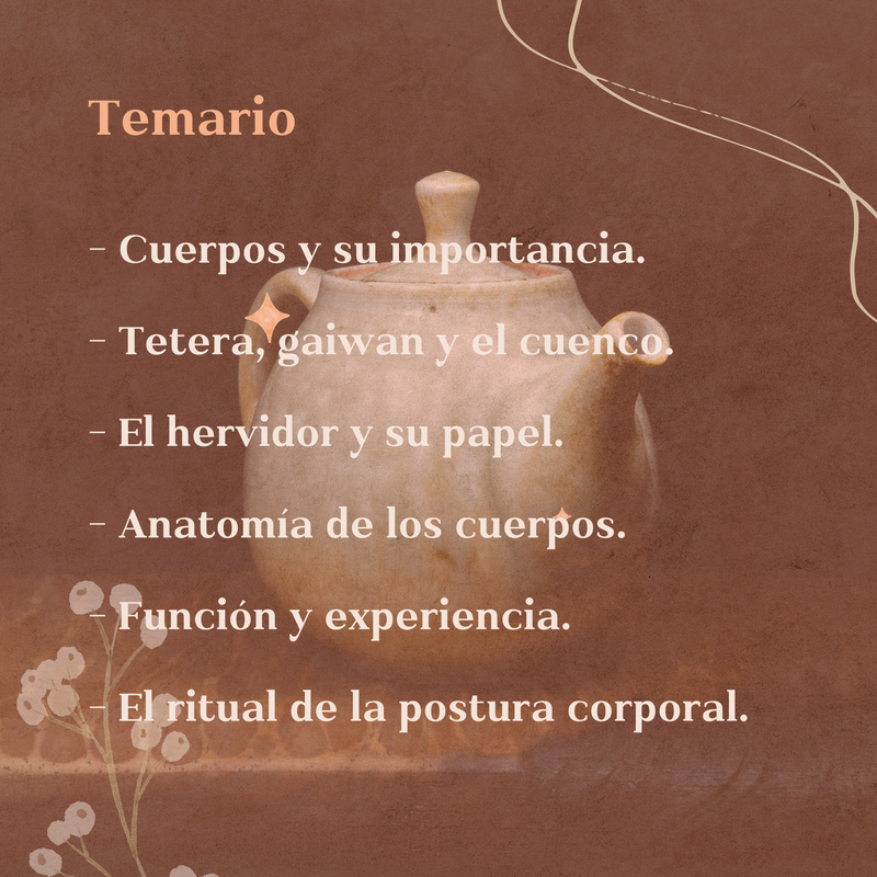 CUERPOS DEL TÉ