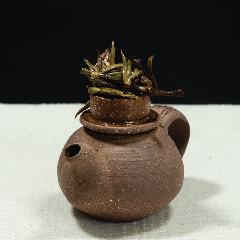 Brotes húmedos  de té Dark Ye Sheng Puerh