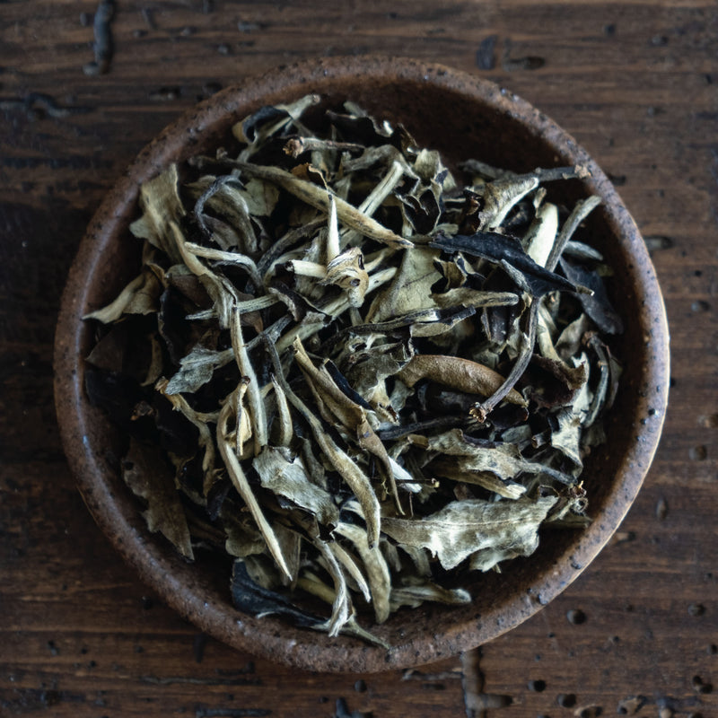 TÉ BLANCO YUE GUGANG BAI, ANKORI, MÉXICO